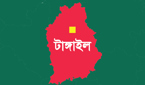 দেলদুয়ারে জামায়াত ইসলামীর প্রার্থীকে জয়ী করতে সুধী সমাবেশ