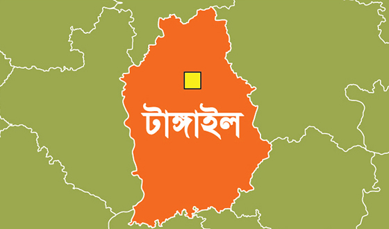 সখীপুরে সড়ক দুর্ঘটনায় নিহত ৩