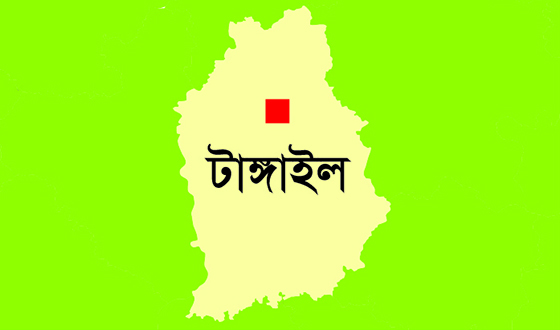 দেলদুয়ারে গৃহবধুর রহস্যজনক মৃত্যু