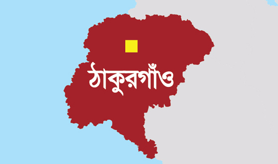 রাণীশংকৈলে বিএনপির বর্ধিত সভা