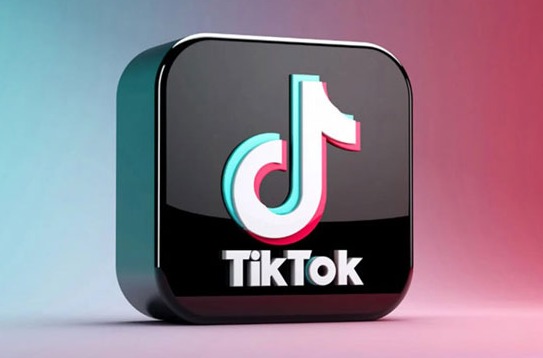 ইন্টারনেট ছাড়াই দেখা যাবে টিকটক ভিডিও