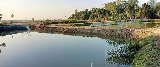 মান্দায় হিন্দু পরিবারের সম্পত্তি দখল