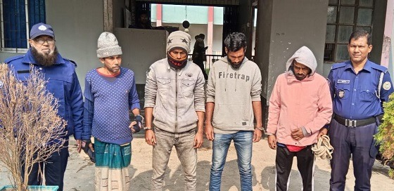 কাউখালীতে ইয়াবাসহ গ্রেফতার ৩