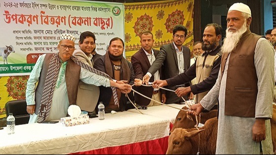 কলাপাড়ায় ১০৪ জন জেলেকে গরু বিতরণ