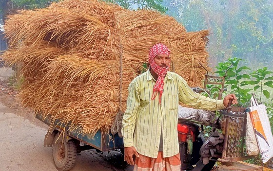 ডুমুরিয়ায় জলাবদ্ধতাব ও মূল্য বৃদ্ধিতে গো-খাদ্যের তীব্র সংকট