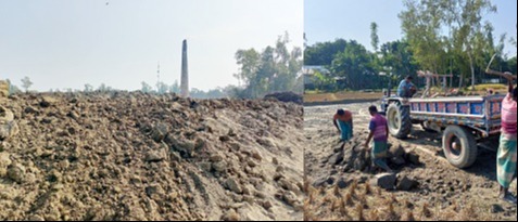 ইটভাটায় পুড়ছে ফসলি জমির প্রাণ