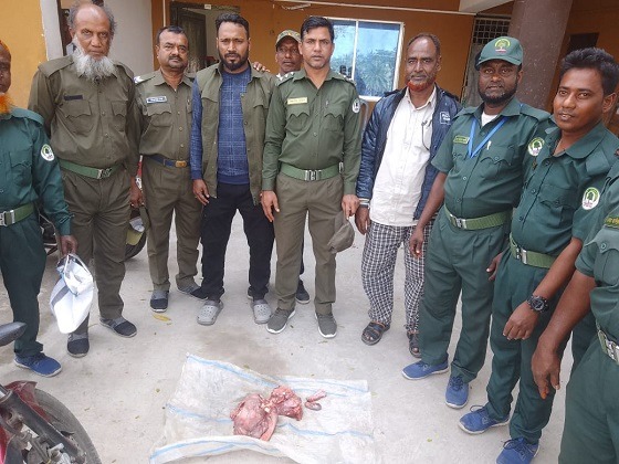 শ্যামনগরে হরিণের মাংস উদ্ধার