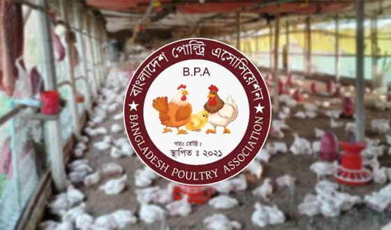 দিনে ৯ কোটি টাকা করে হাতিয়ে নিচ্ছে সিন্ডিকেট: বিপিএ