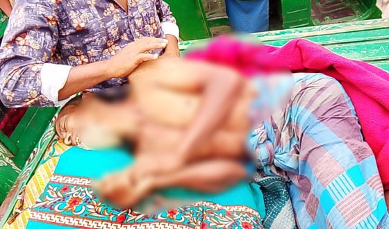 শ্রীবরদীতে বুনোহাতির হামলায় কৃষক আহত