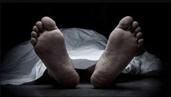 কালীগঞ্জে সাপের কামড়ে সাপুড়ের মৃত্যু