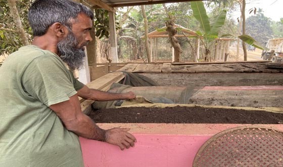 ভার্মি কম্পোষ্ট সারের বাজার ব্যাবস্থাপনা করছে নালিতাবাড়ী কৃষি বিভাগ