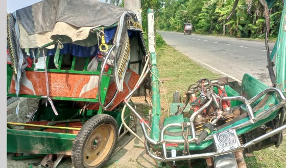 বাগেরহাট পিরোজপুরে বাস-ইজিবাইক সংঘর্ষে নিহত ১