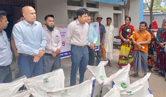 প্রাণীসম্পদ বিভাগের সুফলভোগীদের মাঝে দানাদার খাদ্য বিতরণ