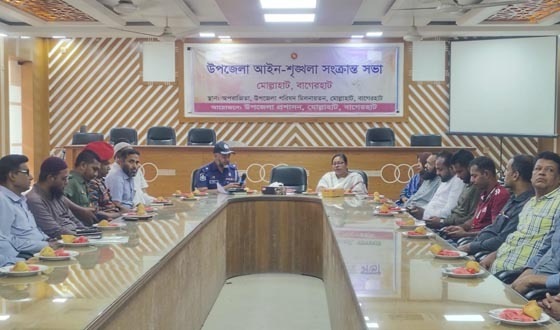 মোল্লাহাটে মামলার বাদী ও পরিবারের ওপর  ন্যক্কারজনক হামলার অভিযোগ