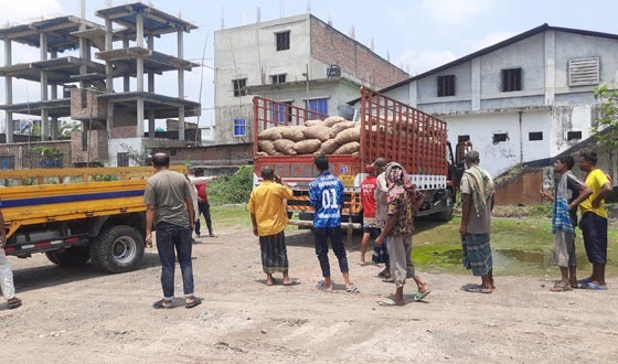 হিলি স্থলবন্দর দিয়ে ভারত থেকে কচুর মুখি আমদানি