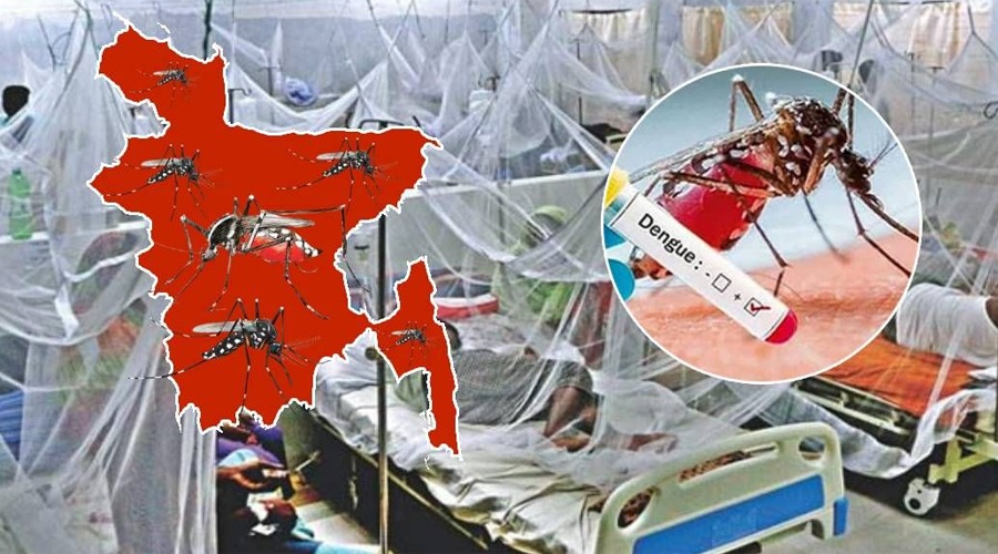 ডেঙ্গুতে হাসপাতালে রোগীর সংখ্যা ২১ হাজার ছাড়াল