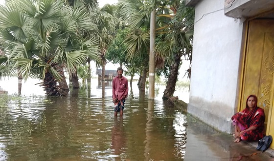 পানিতে তলিয়ে ৩ হাজার হেক্টর আমন ক্ষেত, দুর্ভোগে কৃষক ও সাধারণ মানুষ
