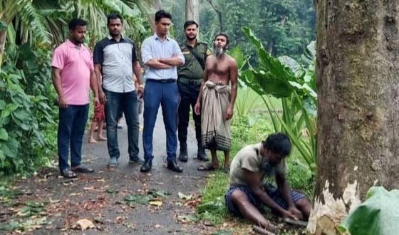 দেবহাটায় ঝুকিপূর্ণ ও মৃত গাছ কেটে প্রশংসায় ভাসলেন ইউএনও নওশাদ
