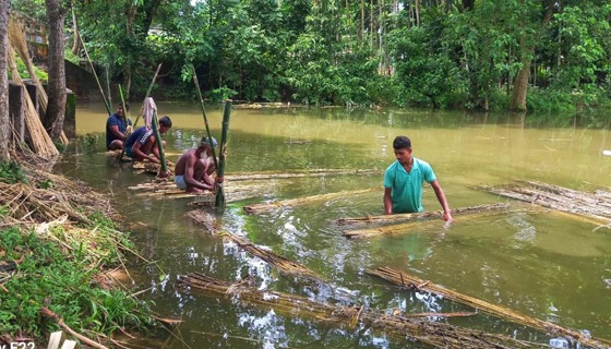 সোনালী আঁশে রুপালী স্বপ্ন