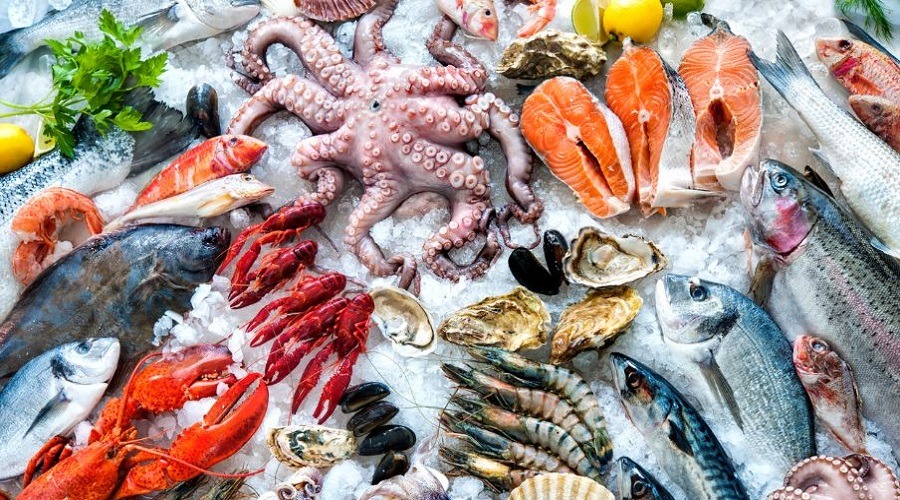 জেনে নিন সামুদ্রিক মাছ খাওয়ার কিছু উপকারিতা