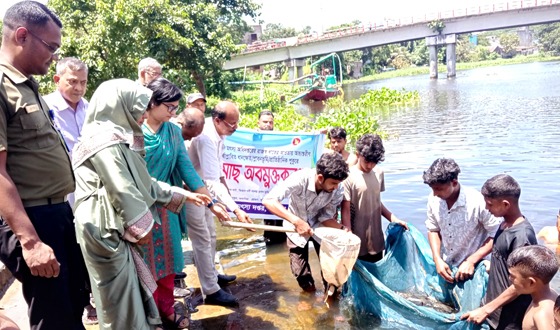 হেমনায় উন্মুক্ত জলাশয়ে মাছের পোনা অবমুক্ত