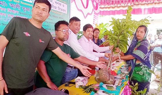 জলবায়ু পরিবর্তন মোকাবেলার সহজ সমাধান বৃক্ষরোপন