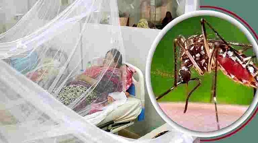 ডেঙ্গুতে আরও ৫ জনের মৃত্যু, হাসপাতালে রোগীর ভীড়