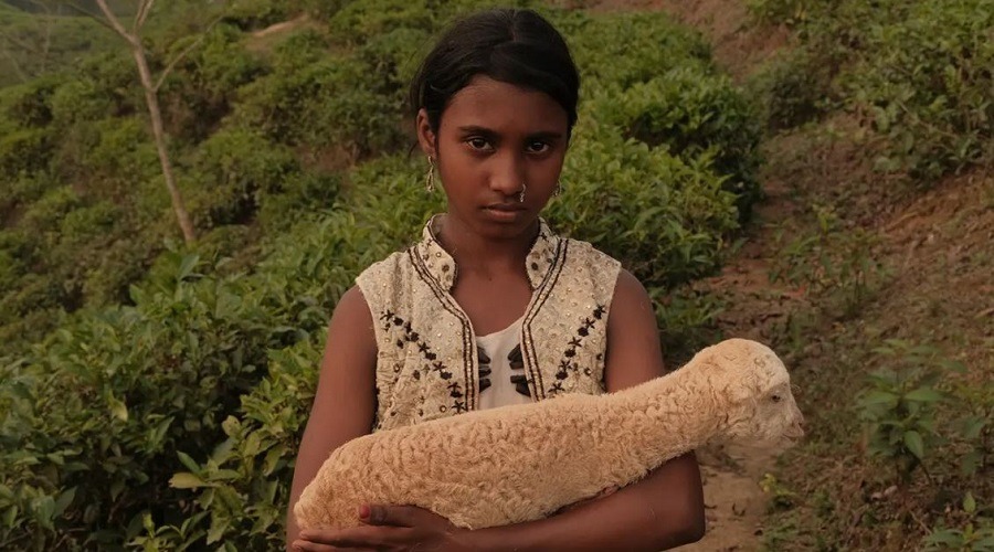 এবার বাংলাদেশে মুক্তি পাচ্ছে ‘নিশি’