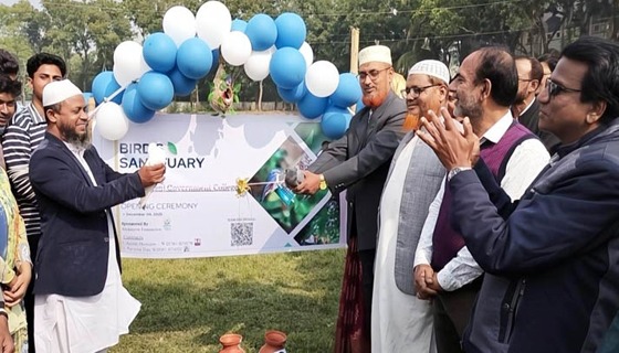 ক্যাম্পাসে দেড় শতাধিক পাখির অভয়াশ্রম গড়লো কালিগঞ্জ সরকারি কলেজের শিক্ষার্থীরা