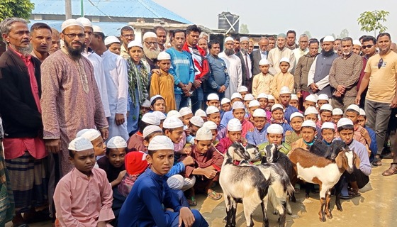 বিরলে সদকায়ে জারিয়া হিসেবে এতিম শিশুদের মাঝে ছাগল বিতরণ