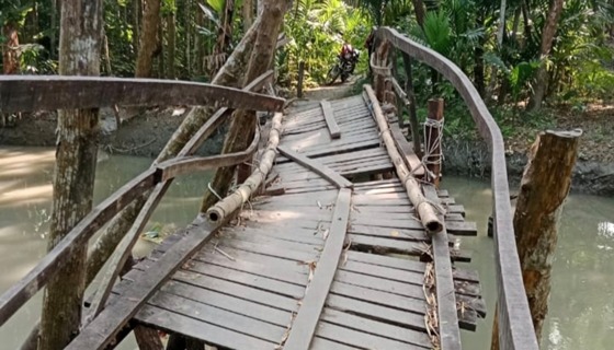 নড়বড়ে ব্রিজে শিক্ষার্থীদের প্রাণের ঝুঁকি, প্রশাসনের আশ্বাস দ্রুত ব্যবস্থা