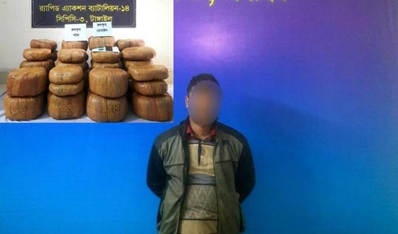 মধুপুরে ১২৭ কেজি ২০০ গ্রাম গাঁজাসহ মাদক কারবারী গ্রেফতার