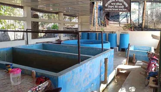 জনবল সংকটে ১০ বছর ধরে বন্ধ মৎস্য হ্যাচারী