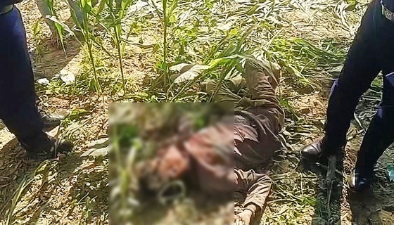 হোমনায় অটোরিকশা চালককে জবাই করে হত্যা