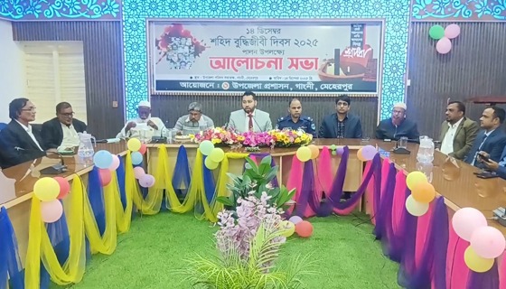 মেহেরপুরের গাংনীতে শহীদ বুদ্ধিজীবী দিবস পালন