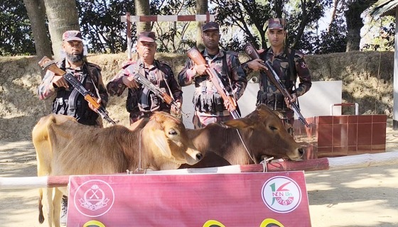পোরশায় জামায়াতের শহীদ বুদ্ধিজীবী দিবস পালন