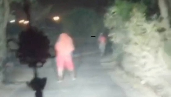 ভেড়ামারার মনি পার্কের সামনে প্রাইভেটকার থামিয়ে ডাকাতি