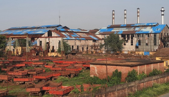 খুশি মোবারকগঞ্জ চিনিকলের আখচাষিরা