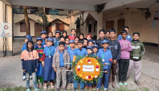 সরাইলে মহান বিজয় দিবস পালিত