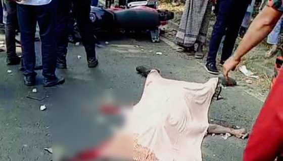 ভেড়ামারায় সড়ক দুর্ঘটনায় ২ পুলিশ সদস্য নিহত