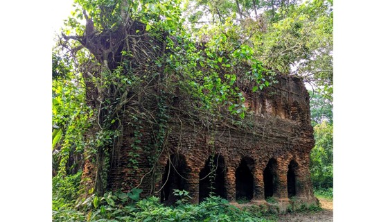 জঙ্গলে ঘেরা ২৪ দালানের বাড়িটি বাংলার এক অনন্য নিদর্শন