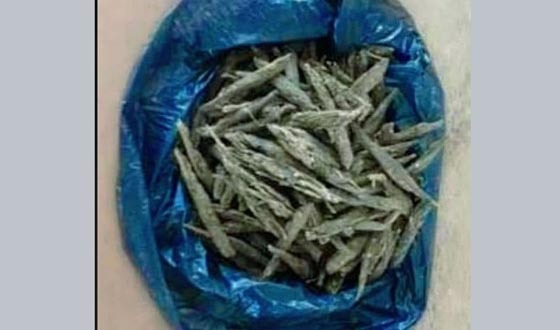 শৈলকুপায় আদালতে মাদক ব্যবসায়ীর ৬ মাসের কারাদণ্ড