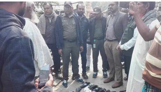 বিষ মাখানো সরিষা খেয়ে ৮০টি কবুতর ও একটি ঘুঘুর মৃত্যু