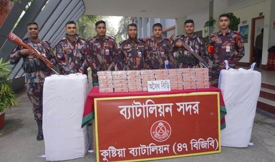 দৌলতপুরে  বিজিবির অভিযানে মাদক ও চোরাচালানী মালামাল আটক