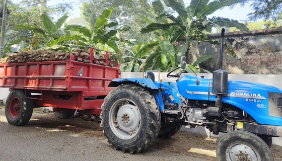 আমতলীতে সরকারী ভবন ভেঙ্গে ইট চুরির সময় আটক ৪