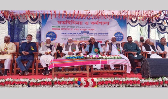 হয়রত নগর এইউ কামিল মাদ্রাসা শিক্ষার মান উন্নয়ন শীর্ষক মতবিনিময় ও কর্মশালা