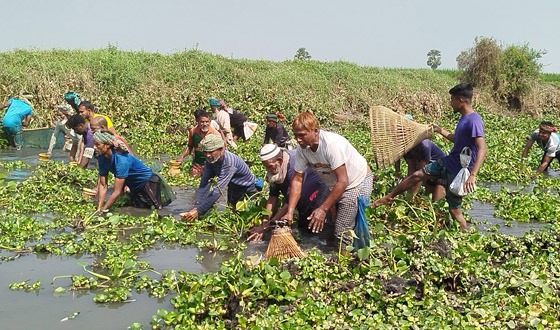 নড়াইলে ঐতিহ্যবাহী পলো উৎসবে মেতেছেন গ্রামবাসী