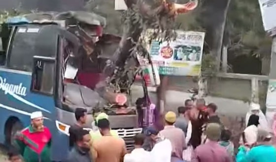 সাতক্ষীরায় গাছের সাথে বাসের ধাক্কায়  নিহত এক