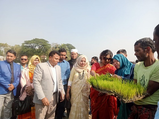 রাইস ট্রান্সপ্লান্টারের মাধ্যমে ধানের চারা রোপন কর্মসূচির উদ্বোধন