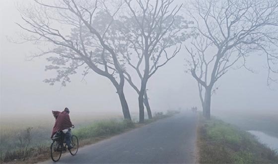 শৈত্যপ্রবাহ ও কুয়াশা: এক সপ্তাহের জন্য শীতের তীব্রতা বাড়বে